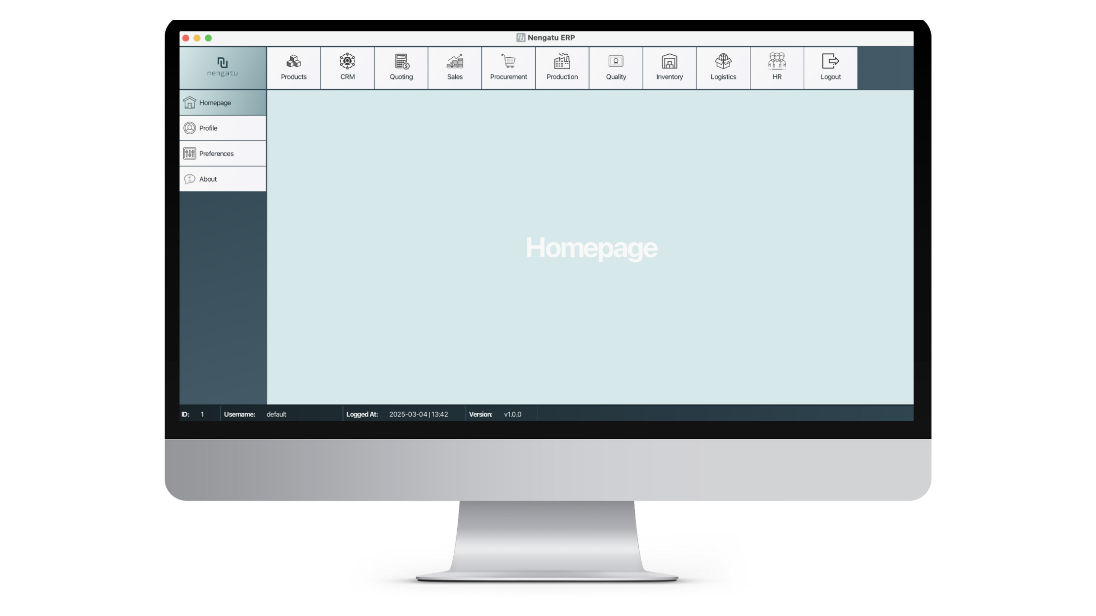 ERP Implementation Overview